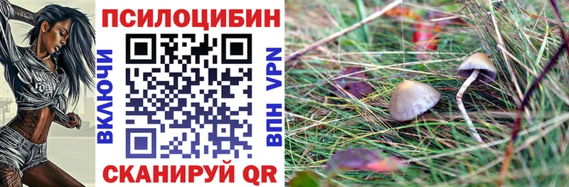 Псилоцибиновые грибы GOLDEN TEACHER  Купить закладки  Верхний Тагил 